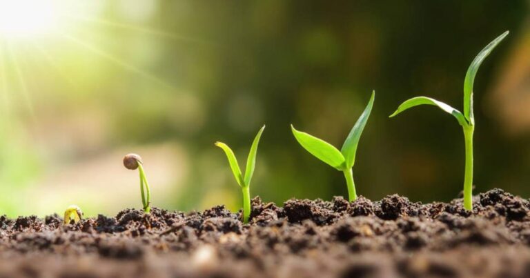 Grow your business with online marketing in Warrnambool