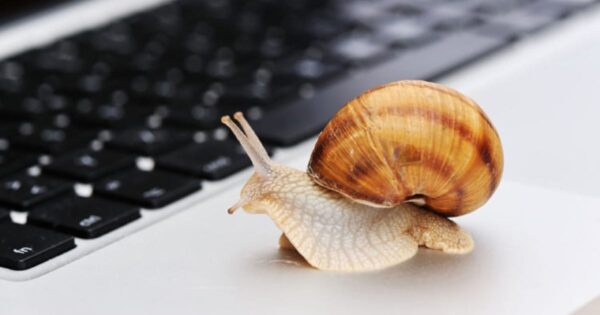Slow-Website Snail on a laptop that is faster than a slow website