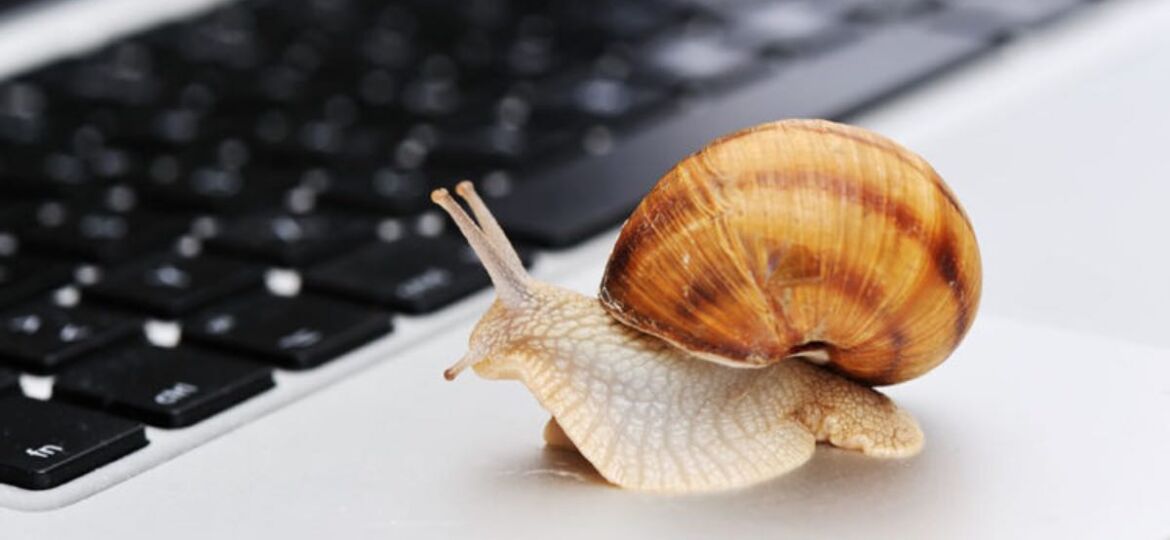 Snail on a laptop that is faster than a slow website