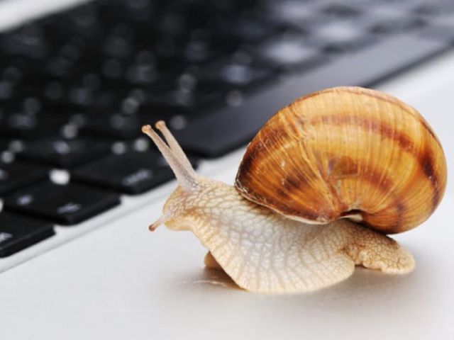 Snail on a laptop that is faster than a slow website